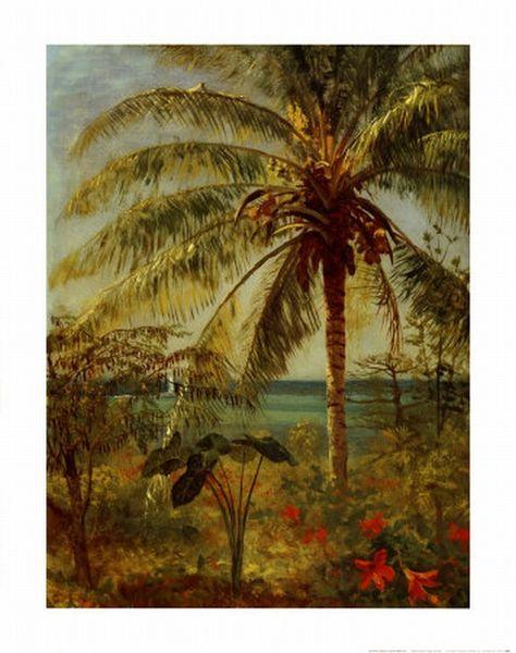 Albert Bierstadt Palm Tree, Nassau by Albert Bierstadt Sweden oil painting art